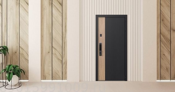 Стальная дверь "Конструктор" с зеркалом (биометрический замок Smart lock Y23)